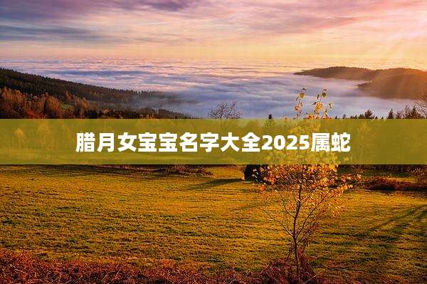 腊月女宝宝名字大全2025属蛇
