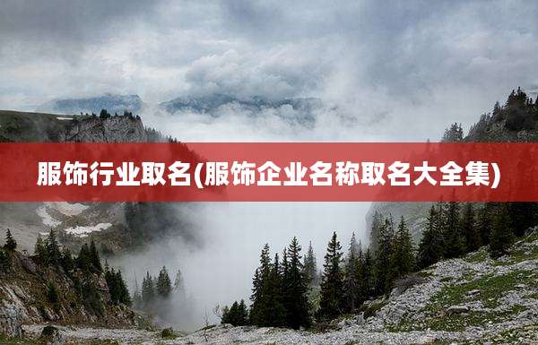 服饰行业取名(服饰企业名称取名大全集)