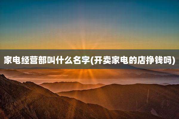 家电经营部叫什么名字(开卖家电的店挣钱吗)