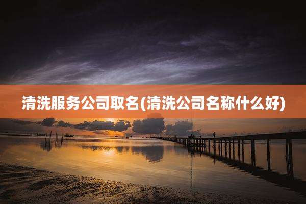 清洗服务公司取名(清洗公司名称什么好)