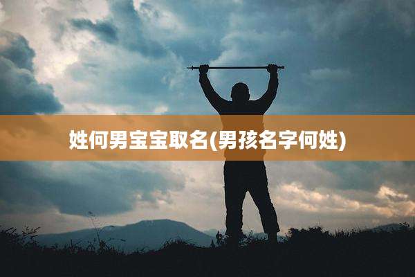 姓何男宝宝取名(男孩名字何姓)