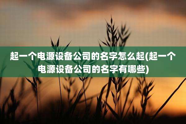 起一个电源设备公司的名字怎么起(起一个电源设备公司的名字有哪些)
