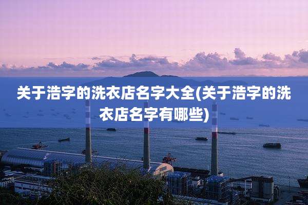 关于浩字的洗衣店名字大全(关于浩字的洗衣店名字有哪些)