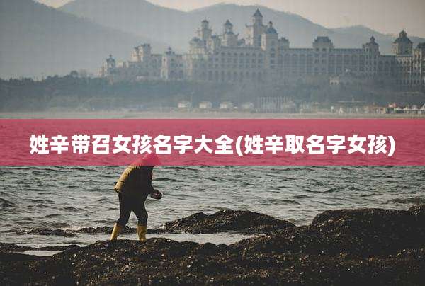 姓辛带召女孩名字大全(姓辛取名字女孩)