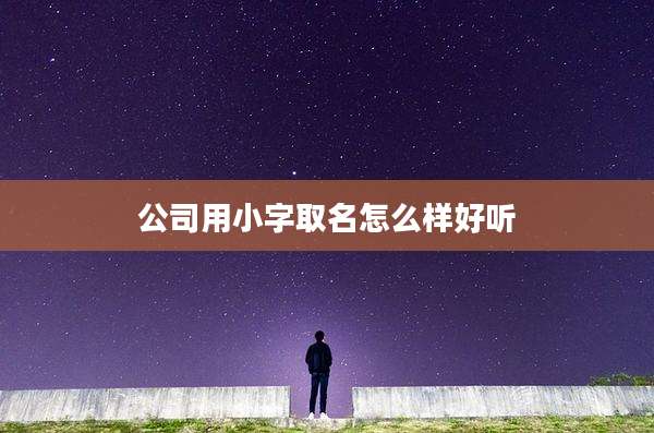公司用小字取名怎么样好听