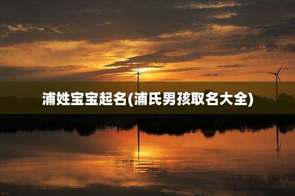 浦姓宝宝起名(浦氏男孩取名大全)