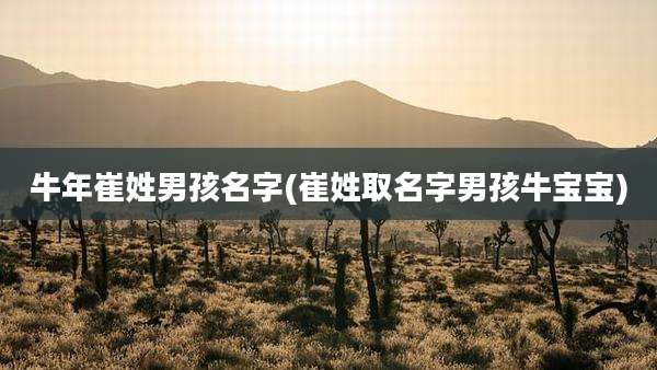 牛年崔姓男孩名字(崔姓取名字男孩牛宝宝)