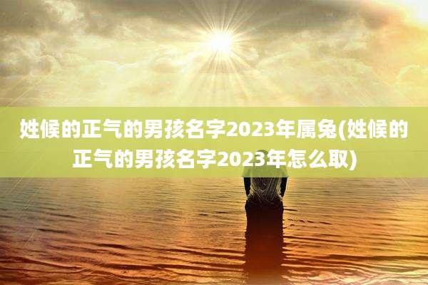 姓候的正气的男孩名字2023年属兔(姓候的正气的男孩名字2023年怎么取)
