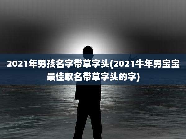 2021年男孩名字带草字头(2021牛年男宝宝最佳取名带草字头的字)