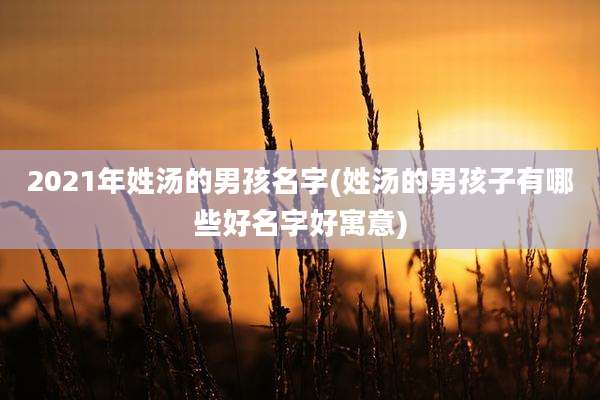2021年姓汤的男孩名字(姓汤的男孩子有哪些好名字好寓意)