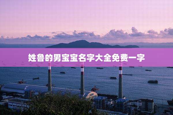 姓鲁的男宝宝名字大全免费一字
