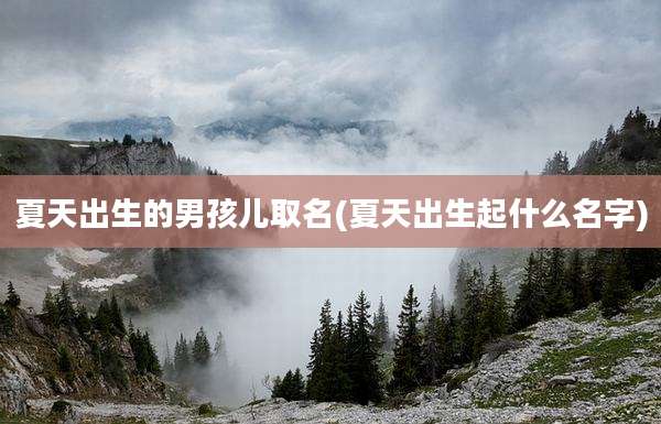 夏天出生的男孩儿取名(夏天出生起什么名字)