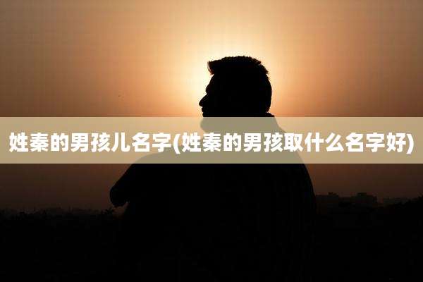 姓秦的男孩儿名字(姓秦的男孩取什么名字好)