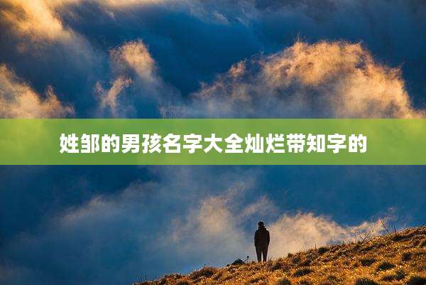 姓邹的男孩名字大全灿烂带知字的