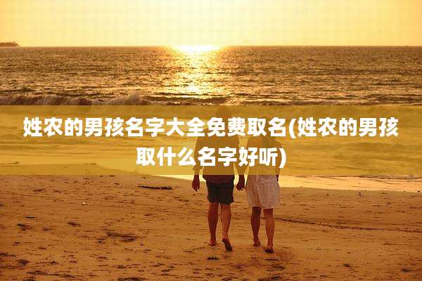 姓农的男孩名字大全免费取名(姓农的男孩取什么名字好听)