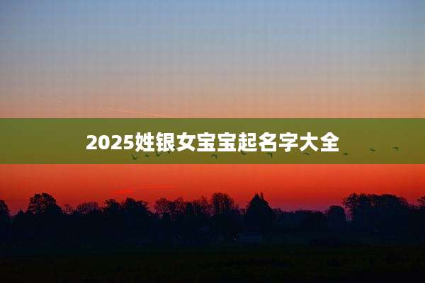 2025姓银女宝宝起名字大全