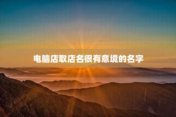 电脑店取店名很有意境的名字