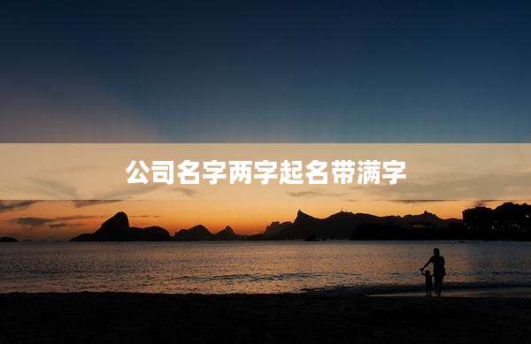 公司名字两字起名带满字