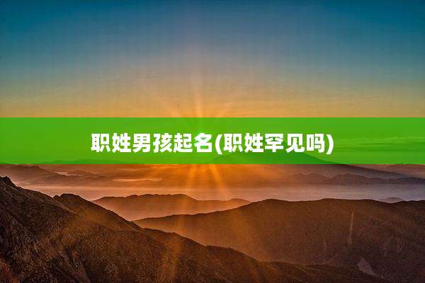 职姓男孩起名(职姓罕见吗)