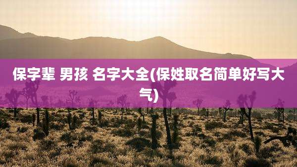 保字辈 男孩 名字大全(保姓取名简单好写大气)