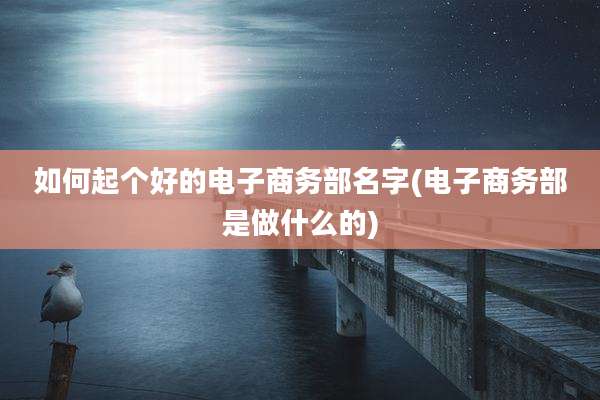 如何起个好的电子商务部名字(电子商务部是做什么的)