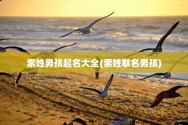 索姓男孩起名大全(索姓取名男孩)