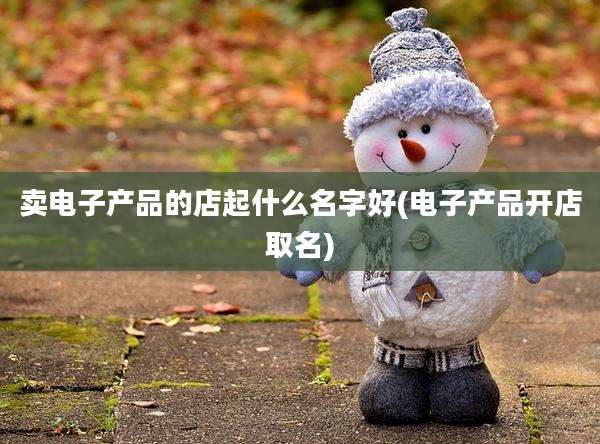 卖电子产品的店起什么名字好(电子产品开店取名)
