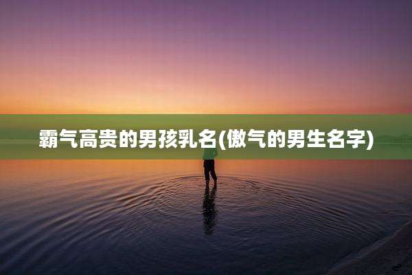 霸气高贵的男孩乳名(傲气的男生名字)
