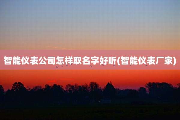 智能仪表公司怎样取名字好听(智能仪表厂家)