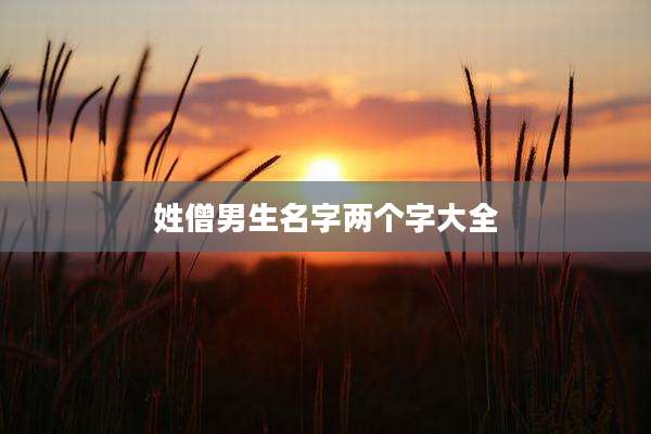 姓僧男生名字两个字大全