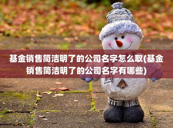 基金销售简洁明了的公司名字怎么取(基金销售简洁明了的公司名字有哪些)