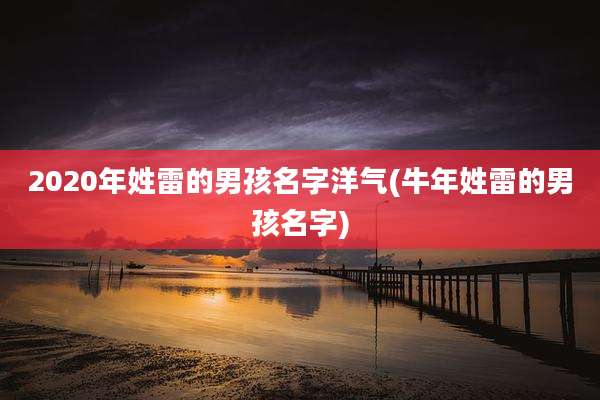 2020年姓雷的男孩名字洋气(牛年姓雷的男孩名字)