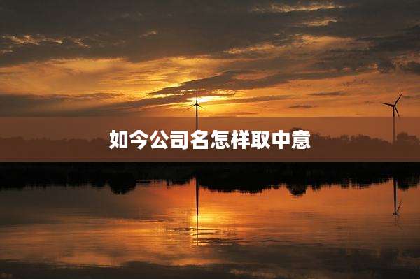 如今公司名怎样取中意