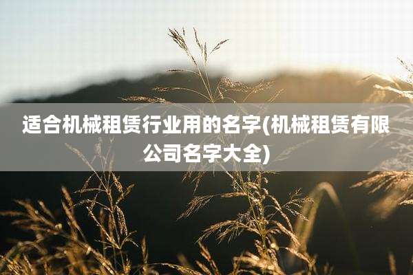 适合机械租赁行业用的名字(机械租赁有限公司名字大全)