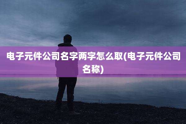 电子元件公司名字两字怎么取(电子元件公司名称)