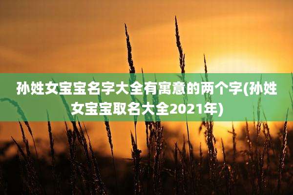 孙姓女宝宝名字大全有寓意的两个字(孙姓女宝宝取名大全2021年)