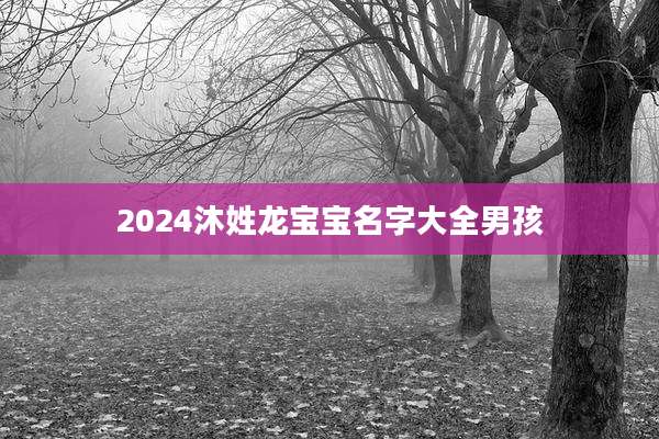 2024沐姓龙宝宝名字大全男孩