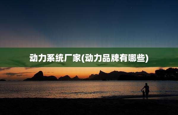 动力系统厂家(动力品牌有哪些)
