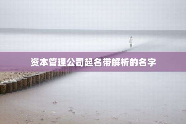 资本管理公司起名带解析的名字