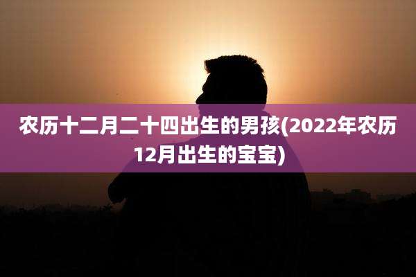 农历十二月二十四出生的男孩(2022年农历12月出生的宝宝)