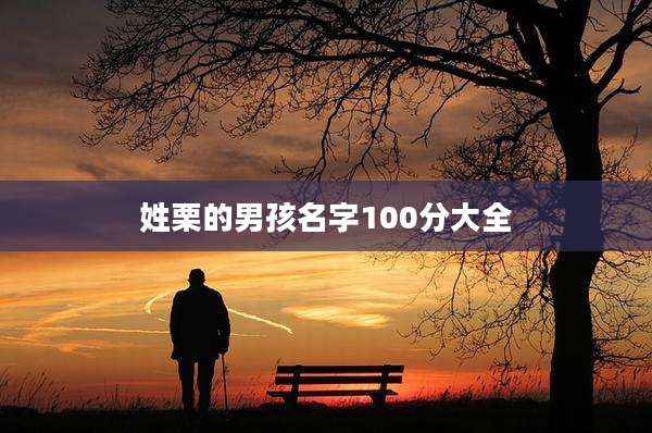 姓栗的男孩名字100分大全