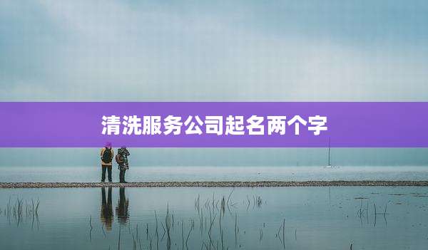 清洗服务公司起名两个字