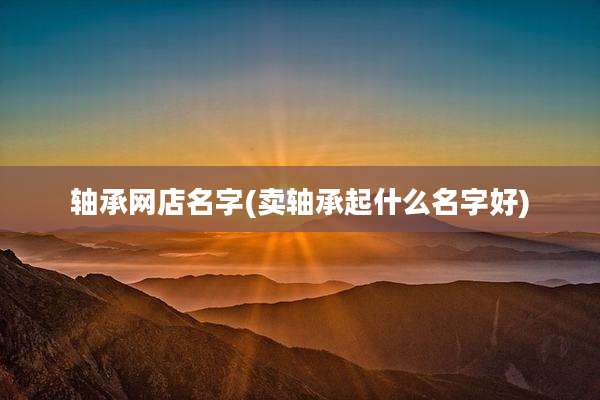 轴承网店名字(卖轴承起什么名字好)