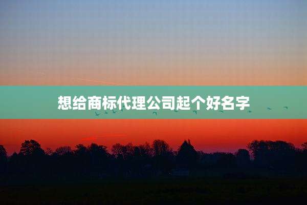 想给商标代理公司起个好名字