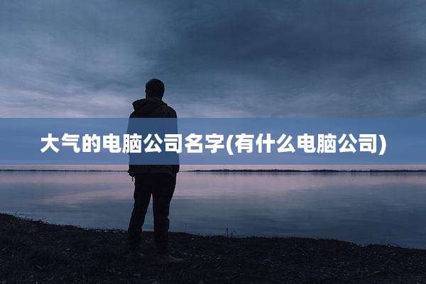 大气的电脑公司名字(有什么电脑公司)