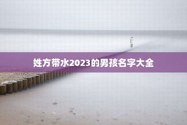 姓方带水2023的男孩名字大全