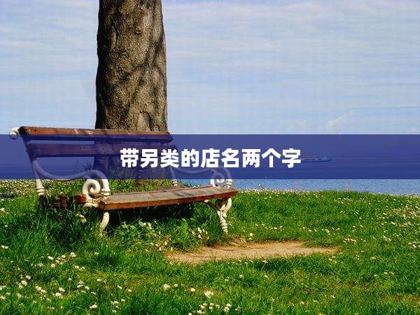 带另类的店名两个字