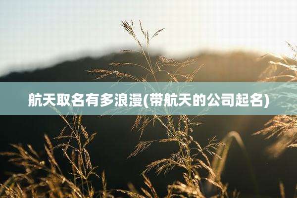 航天取名有多浪漫(带航天的公司起名)