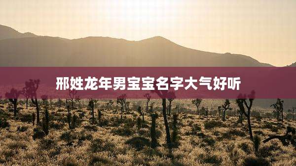 邢姓龙年男宝宝名字大气好听