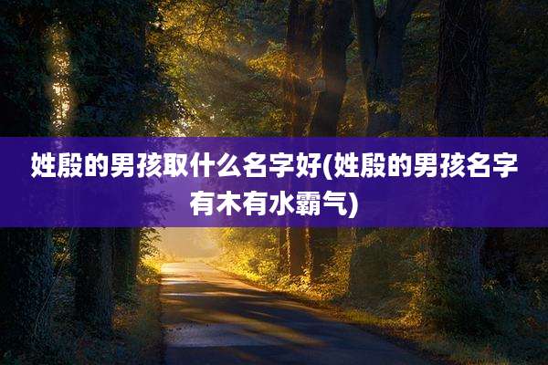 姓殷的男孩取什么名字好(姓殷的男孩名字有木有水霸气)
